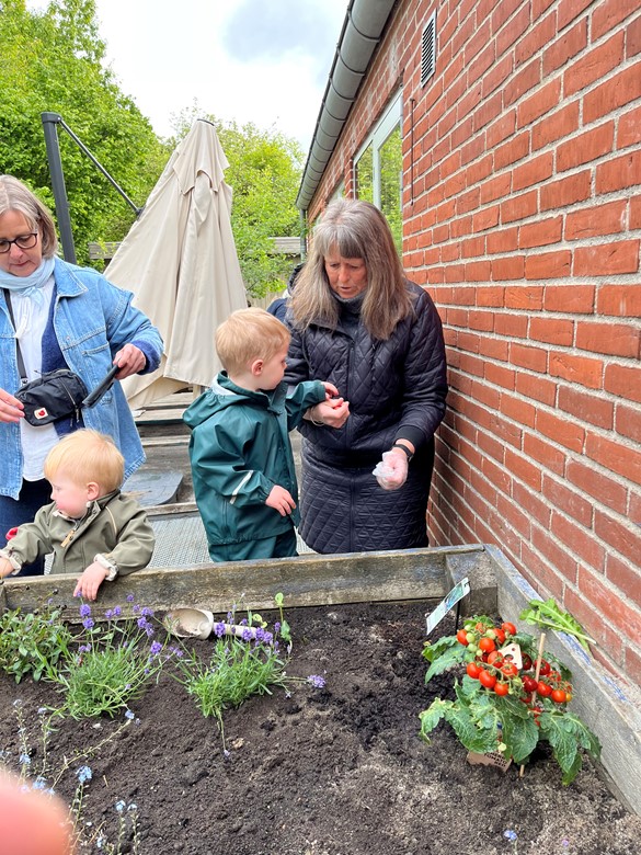 Vi samler ind for vores datter Ann og alle andre med sclerose