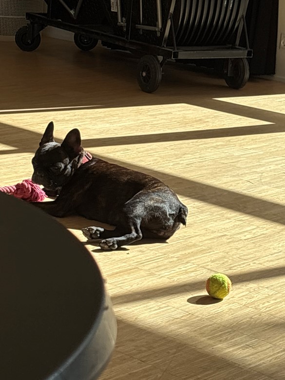 Betina Lunding scleroseindsamling 