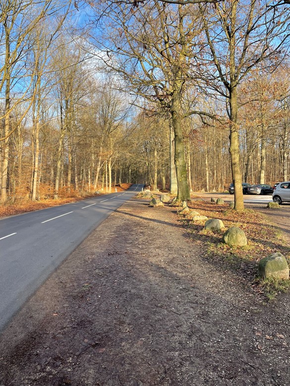 Worsøe’s 100 gange op forbi Skovlyst - 112 gange kørt, 370+ km og 3500+ højde meter i Januar